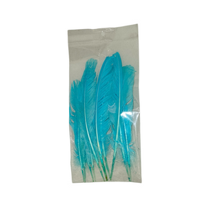 Pluma de gallo