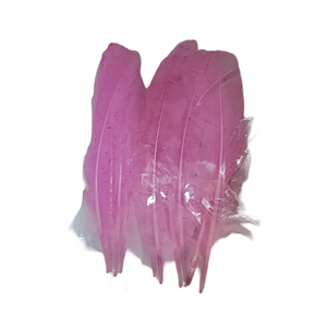 Pluma de gallo