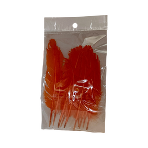 Pluma de gallo