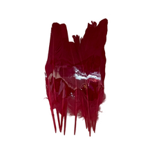 Cargar imagen en el visor de la galería, Pluma de gallo