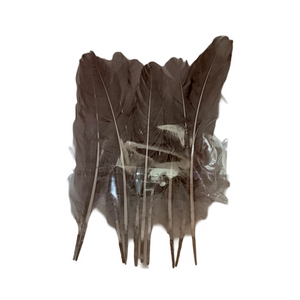 Pluma de gallo