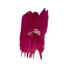 Cargar imagen en el visor de la galería, Pluma de gallo