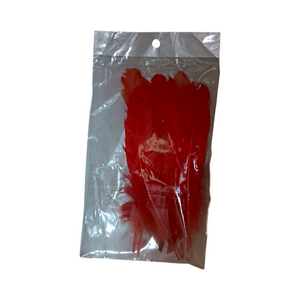 Pluma de gallo