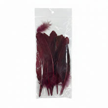 Cargar imagen en el visor de la galería, Plumas de Gallo Pintadas 15 a 20 cm (Bolsa con 10 Piezas)
