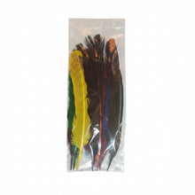 Cargar imagen en el visor de la galería, Paquete de Plumas de Guajolote Pintadas de 25 a 30 cm (10 Piezas Surtidas)