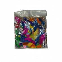Cargar imagen en el visor de la galería, Paquete de Plumas de Pollo Pintadas para Manualidades (10 Bolsitas / 40 g aprox.)