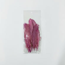 Cargar imagen en el visor de la galería, Plumas de Gallo Pintadas 15 a 20 cm (Bolsa con 10 Piezas)