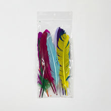 Cargar imagen en el visor de la galería, Plumas de Gallo Pintadas 15 a 20 cm (Bolsa con 10 Piezas)