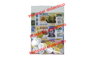 Moneda didáctica metálica con billete