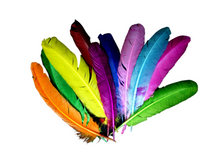 Cargar imagen en el visor de la galería, Pluma de gallo